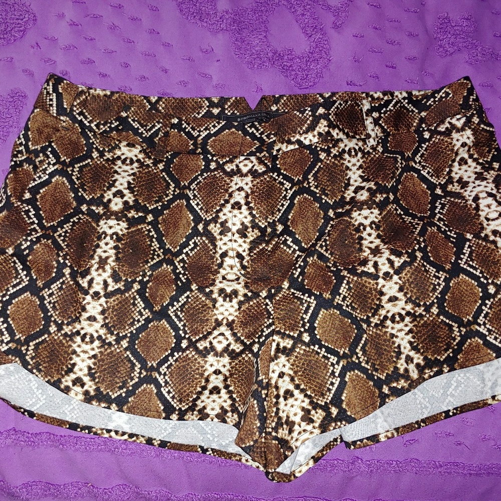 Bcbg maxazria snake skin print shorts